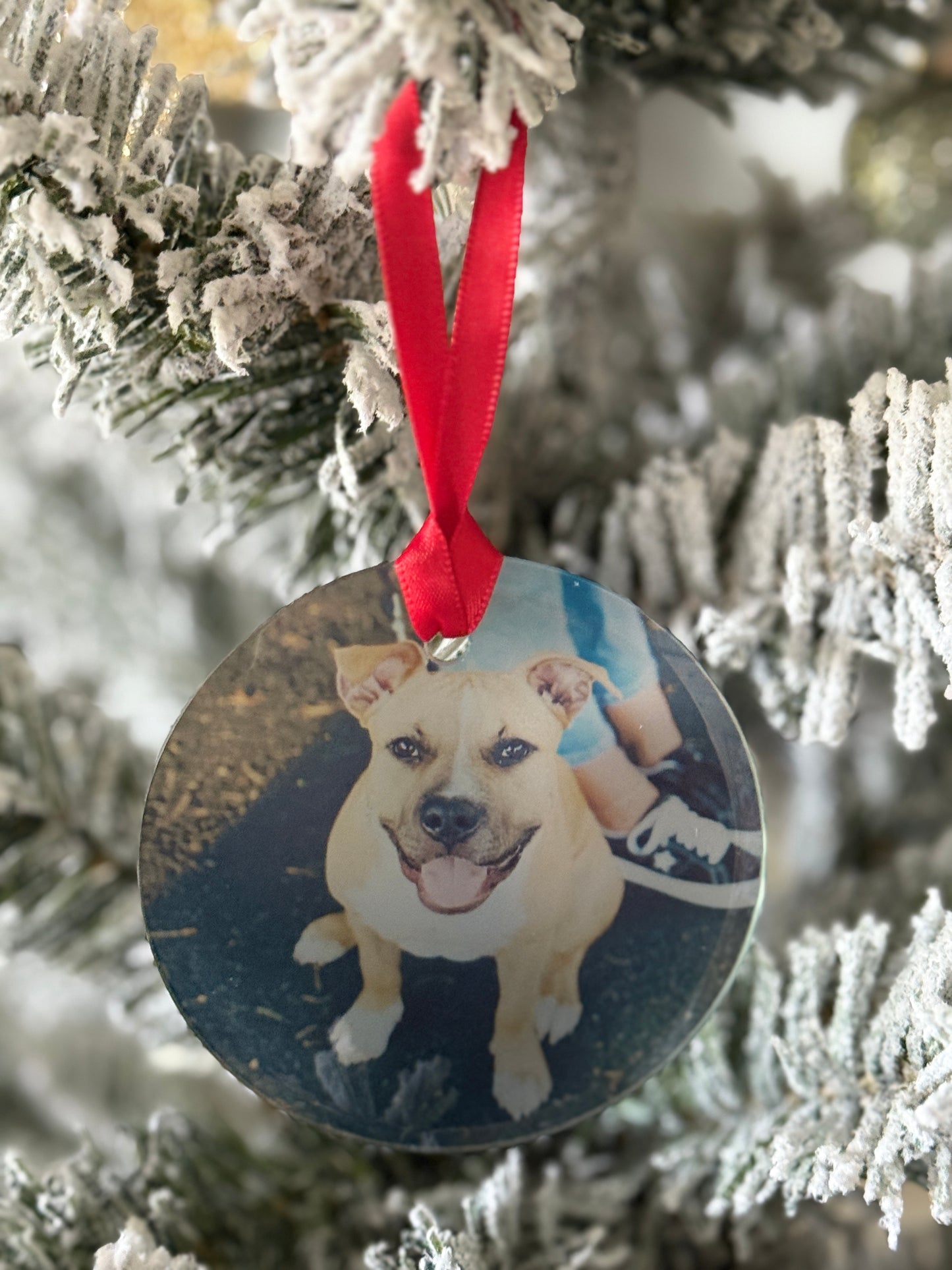 Custom Photo Ornaments - 3" Round